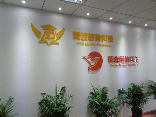 浙江筑森網絡科技 以數字技術重塑行業未來